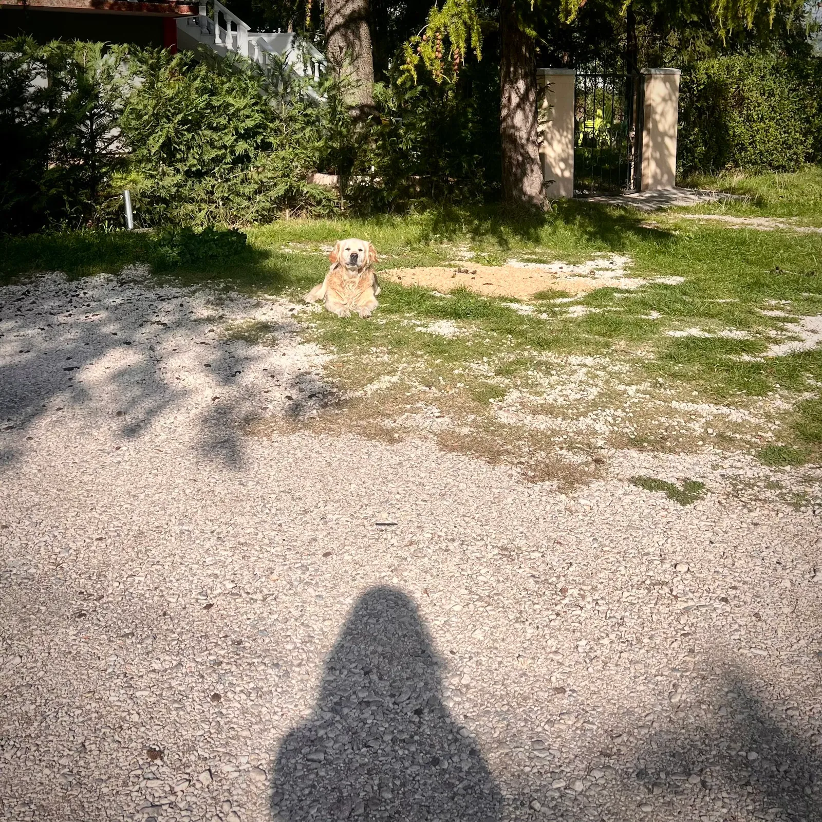Nikšić, Montenegro — photo